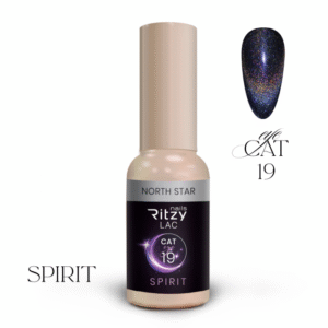 SPIRIT cat eye gel polish NORTH 19